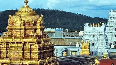 ஏழுமலையான் தரிசனத்துக்கு  12 மணி நேரம் காத்திருப்பு